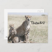 感謝してい ポストカード (正面/裏面)