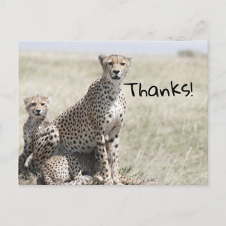 感謝してい ポストカード