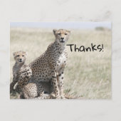 感謝してい ポストカード (正面)