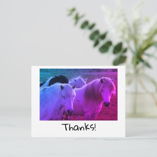 感謝してい ポストカード (スタンド正面)