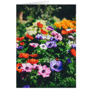 感謝していYou Flower Garden Greeting Card