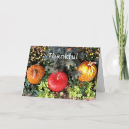 感謝して シーズンカード