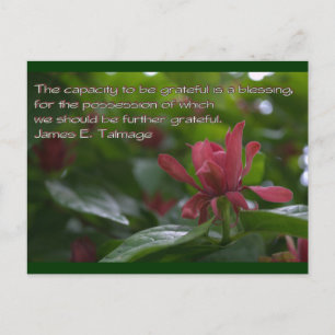 感謝する能力 ポストカード