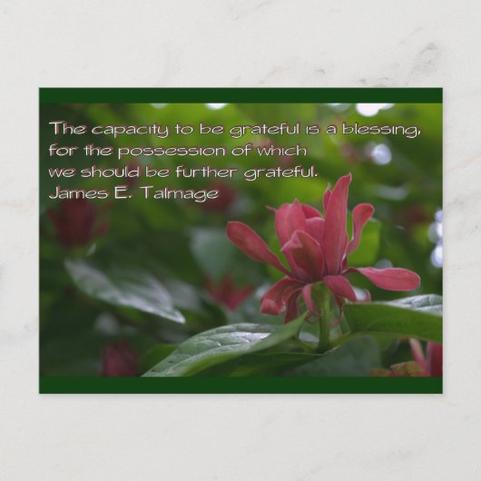 感謝する能力 ポストカード (正面)