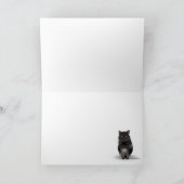 感謝する黒猫の羽 シーズンカード (内部)