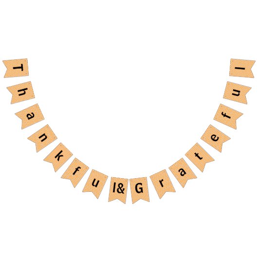 感謝と感謝のオレンジシェブロン – バンティングフラグ バンティングフラッグ (全)