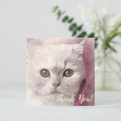 感謝のねこカード カード (スタンド正面)