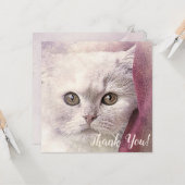 感謝のねこカード カード (正面/裏面インサイチュ)