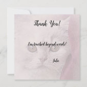 感謝のねこカード カード (裏面)