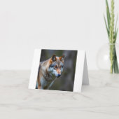 感謝のカード サンキューカード (正面)