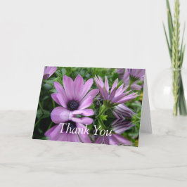 感謝のカード、紫のデイジーの花 サンキューカード