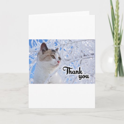 感謝のネコ サンキューカード (正面)