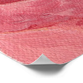 感謝のピンクのバラ ポスター (角)