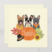 感謝のブフランスのルドッグ感謝祭 シーズンカード (正面/裏面)