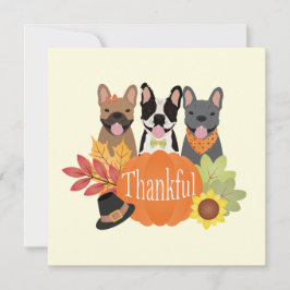 感謝のブフランスのルドッグ感謝祭 シーズンカード