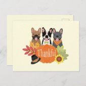 感謝のブフランスのルドッグ感謝祭 シーズンポストカード (正面/裏面)