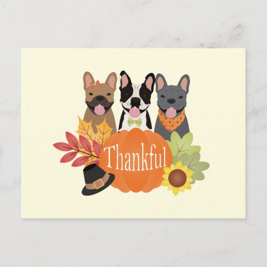感謝のブフランスのルドッグ感謝祭 シーズンポストカード (正面)