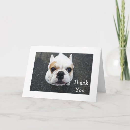 感謝のブルドッググリーティングカード - 贈り物への詩 サンキューカード (正面)