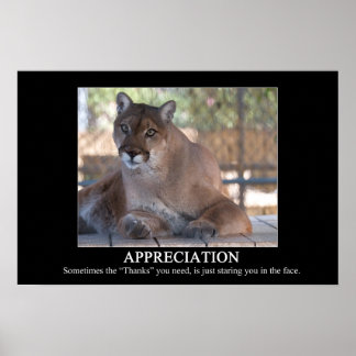 感謝のポスター ポスター