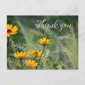 感謝のポストカードまたはあなた自身の気持ちを書く ポストカード (正面)