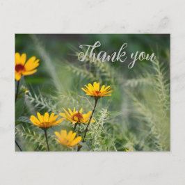 感謝のポストカードまたはあなた自身の気持ちを書く ポストカード