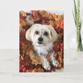 感謝のモーキ― I - ブランクカード カード