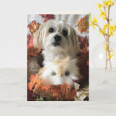 感謝のモーキ―II - 白紙のカード カード (黄色い花)