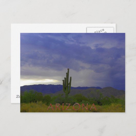 感謝の態度 ポストカード (正面/裏面)