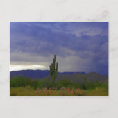 感謝の態度 ポストカード (正面)