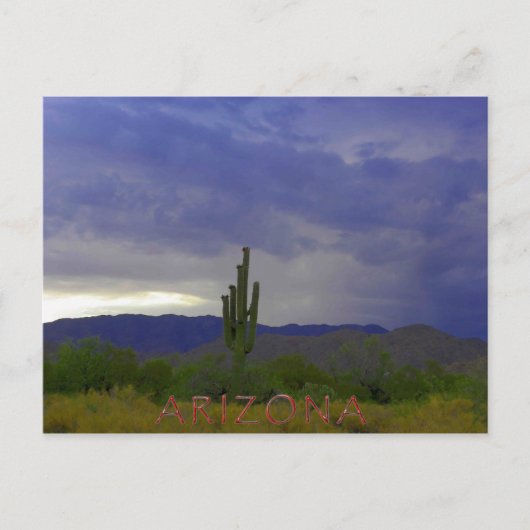 感謝の態度 ポストカード (正面)