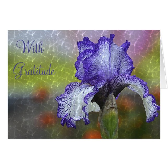 「感謝の気持ちでサンキュー」 (正面横)