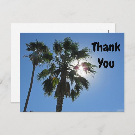 感謝の気持ちをパームツリーとサンburstのポストカードで表そう ポストカード (正面/裏面)