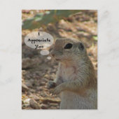 感謝の気持ちを伝えよう ネズミの写真 砂漠の動物 ポストカード (正面)