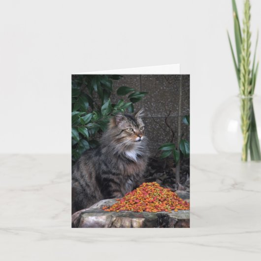 感謝の気持ちを持つ猫ハートThank You Note Card サンキューカード (正面)