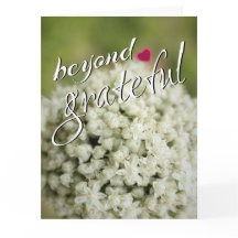 感謝の気持ちを超えたサンキューカード