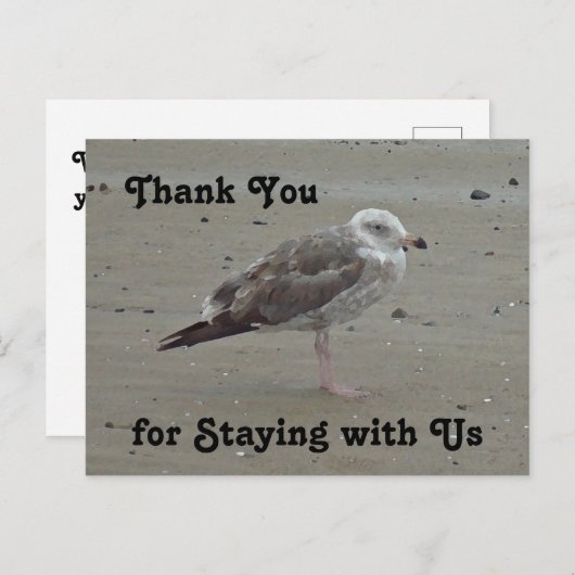 感謝の気持ちを込めたゲストハウスレンタル絵はがき 絵に描いたようなセイギョウ ポストカード (正面/裏面)