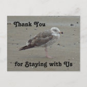 感謝の気持ちを込めたゲストハウスレンタル絵はがき 絵に描いたようなセイギョウ ポストカード (正面)