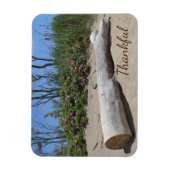 感謝の海 マグネット (縦)