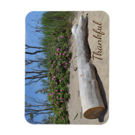 感謝の海 マグネット