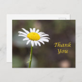 感謝の花が咲く: ワイルドデイジーありがとうございます ポストカード (正面/裏面)