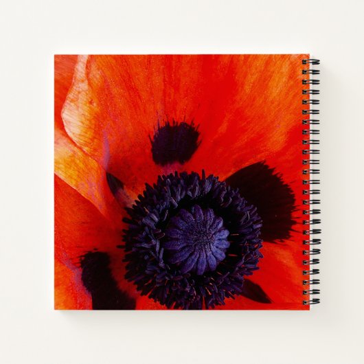 感謝の花とポピーハート引用文 ノートブック (裏面)