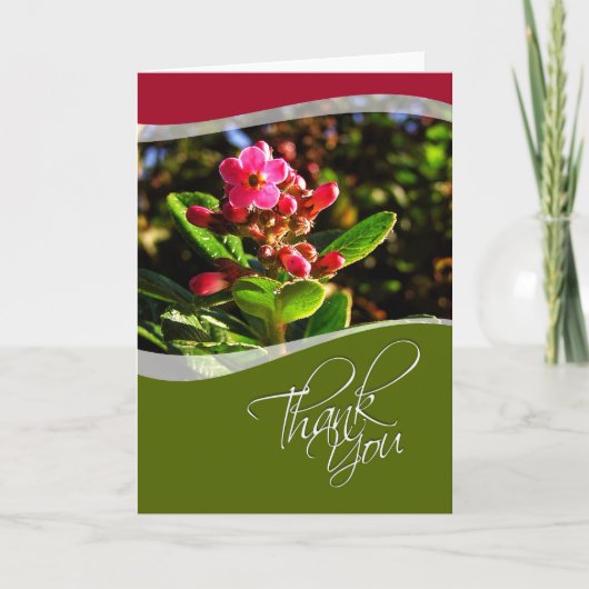 感謝の花カード サンキューカード (正面)