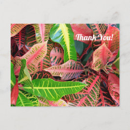 感謝の葉のポストカード 3253 ポストカード