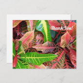 感謝の葉のポストカード 3253 ポストカード (正面/裏面)