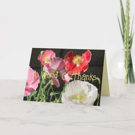 感謝の言葉 サンキューカード (正面)