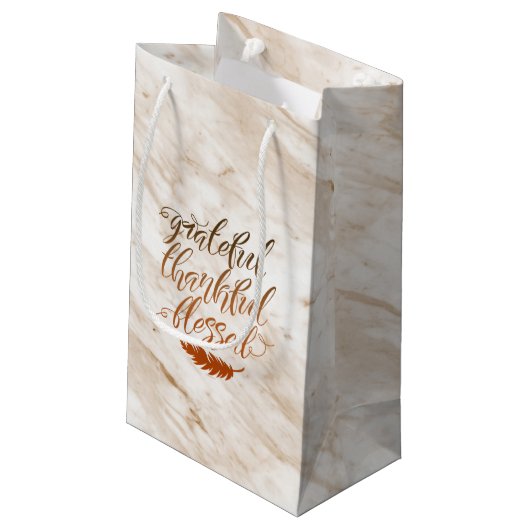 感謝の賛美モダン大理石の羽毛 スモールペーパーバッグ (裏面アングル)