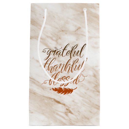 感謝の賛美モダン大理石の羽毛 スモールペーパーバッグ (正面)