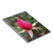 感謝ジャーナル: リチャードCopeland著イメージ ノートブック (右側)