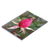 感謝ジャーナル: リチャードCopeland著イメージ ノートブック (左側)