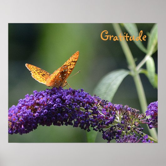 感謝バタフライポスター ポスター (正面)